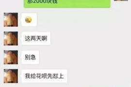 振安专业讨债公司有哪些核心服务？